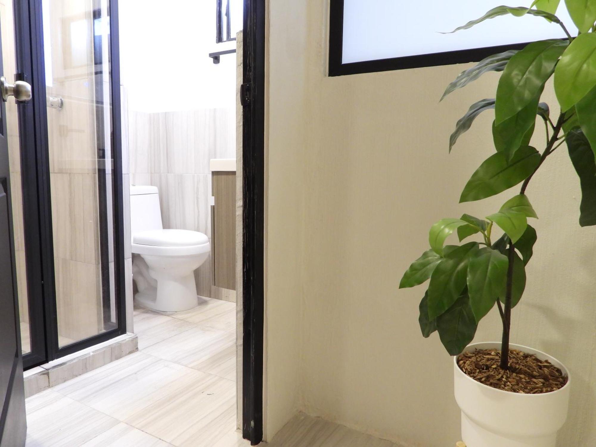 Singular Reforma Hotel